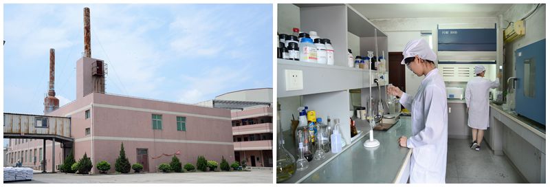 fábrica y laboratorio de polvo de melamina en China